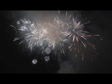 Load and play video in Gallery viewer, The Punisher 227 Shot