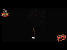 Load and play video in Gallery viewer, King Kong 78 Shot