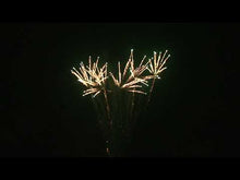 Load and play video in Gallery viewer, Spook Manic Night- 165 Shot
